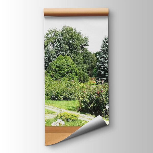 Window with trees and a path through it Window with trees and a path through it