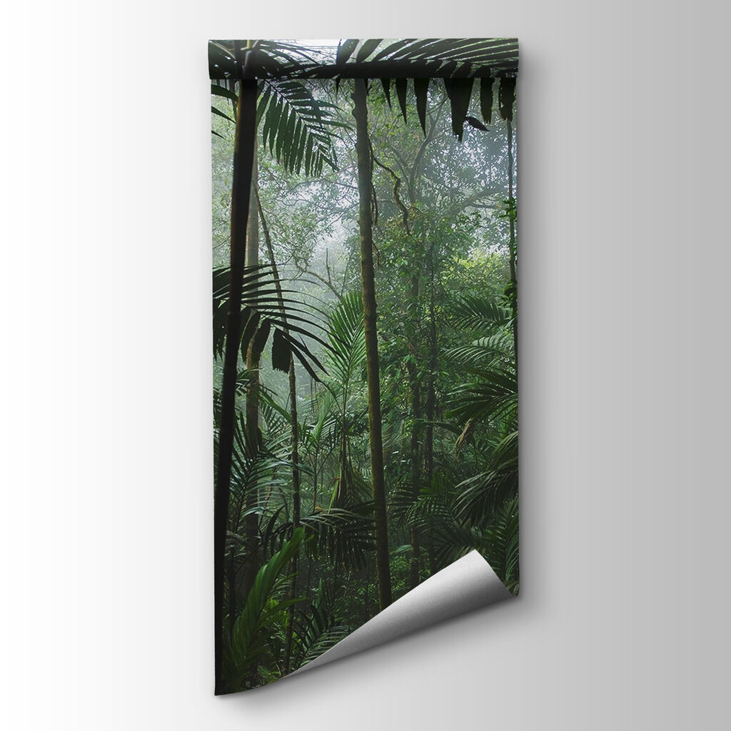 Dense forest with tall trees