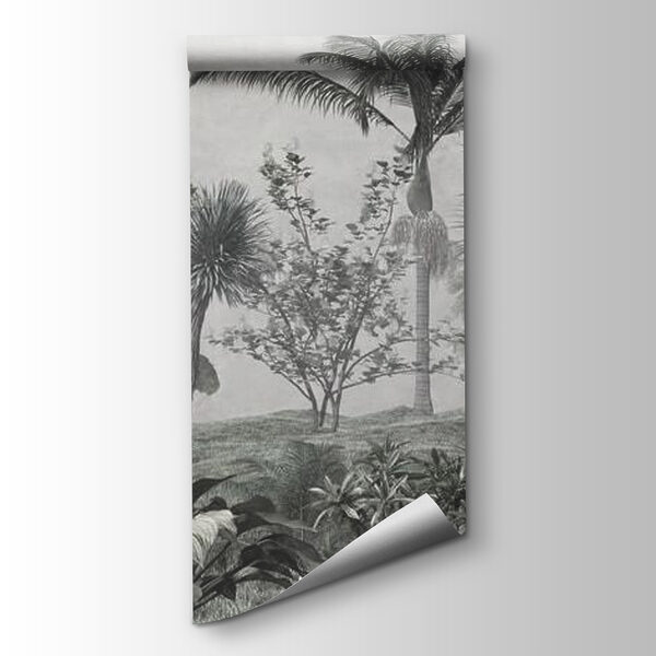 Landscape with palm trees and bushes Landscape with palm trees and bushes