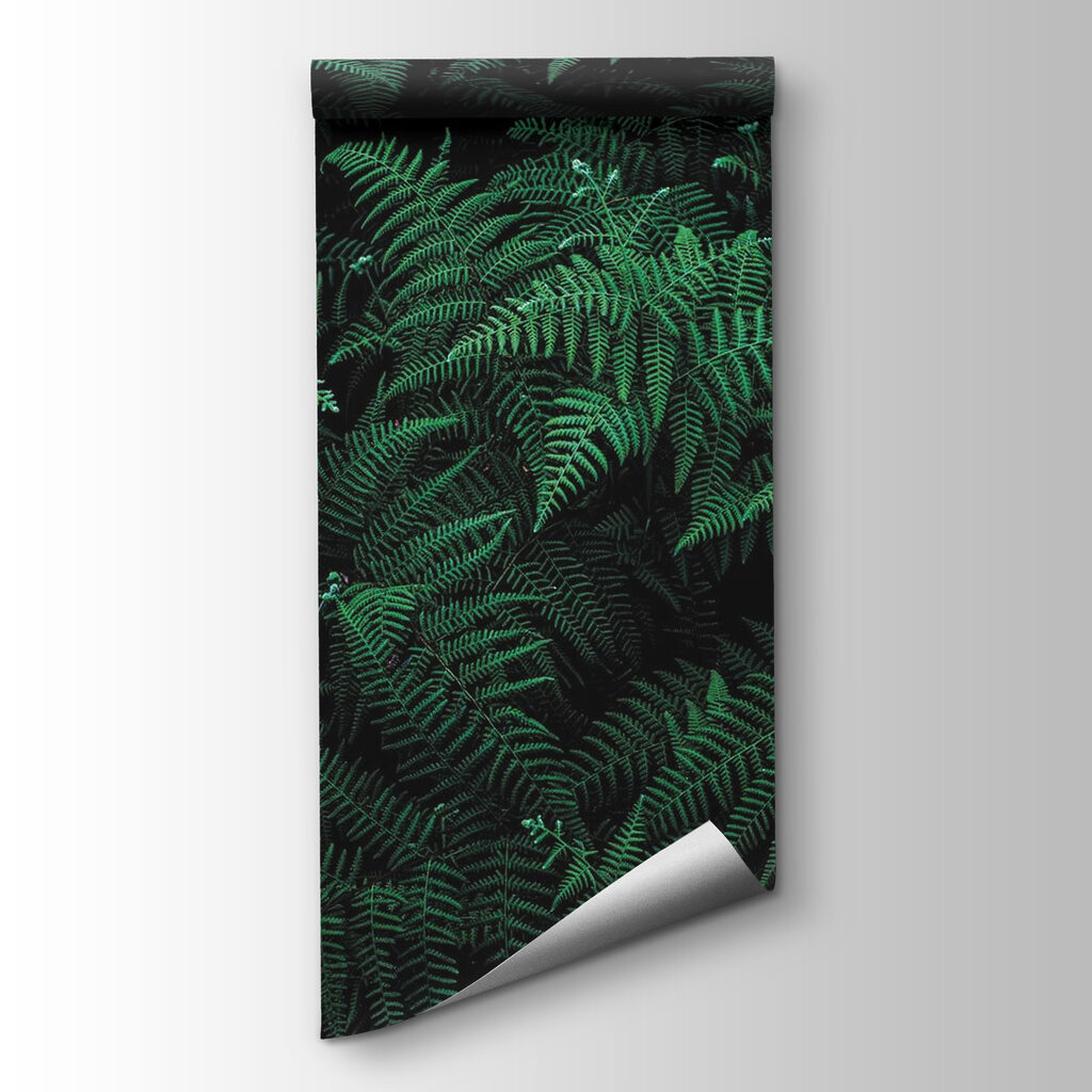 Lush ferns in deep green hues Lush ferns in deep green hues