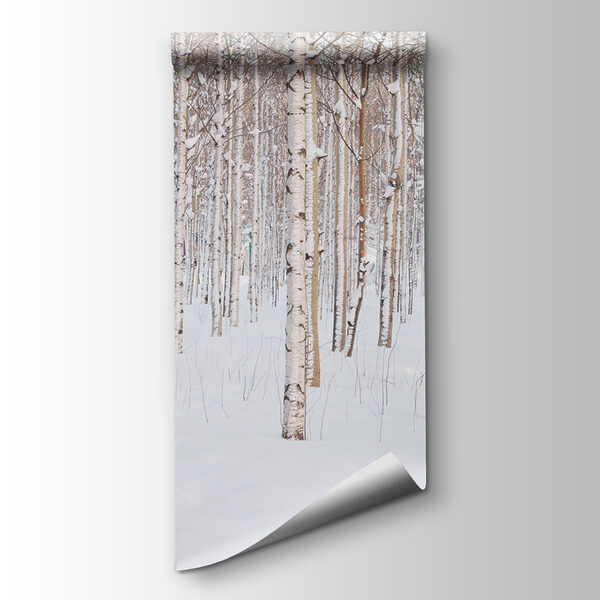 Group of trees in a snowy forest