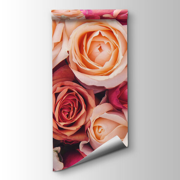 Group of pink and white roses Group of pink and white roses