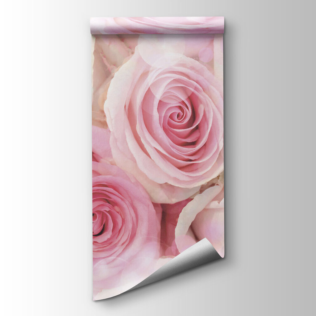 Group of pink roses Group of pink roses