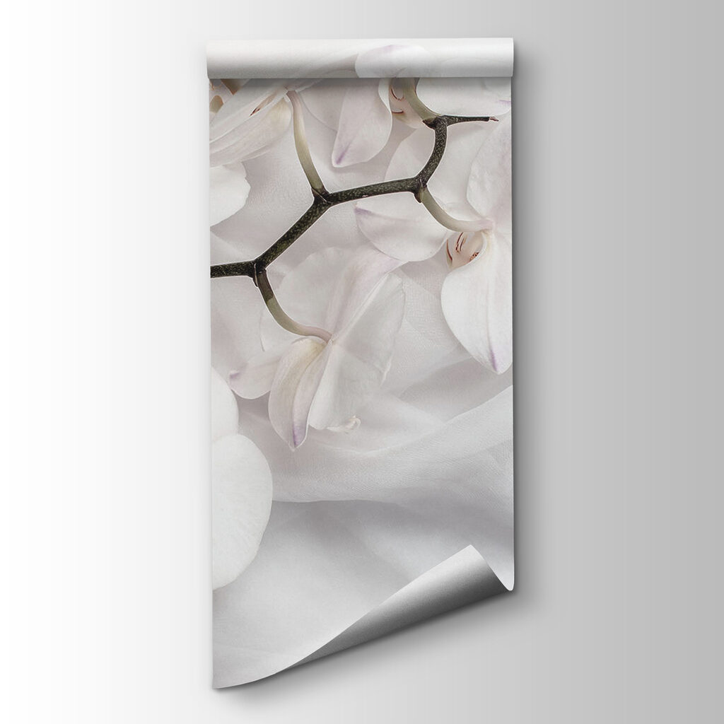 White orchids on a white fabric