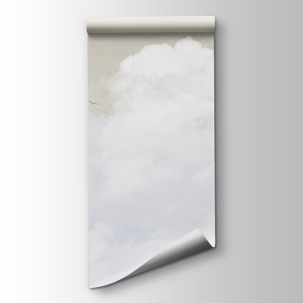 A white clouds in the sky A white clouds in the sky