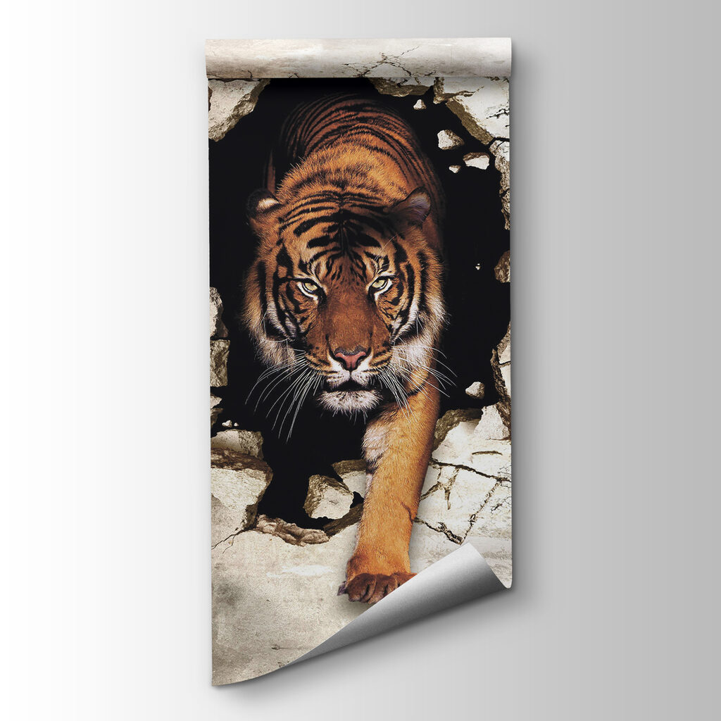 Tiger coming out of a hole in a wall Tiger coming out of a hole in a wall