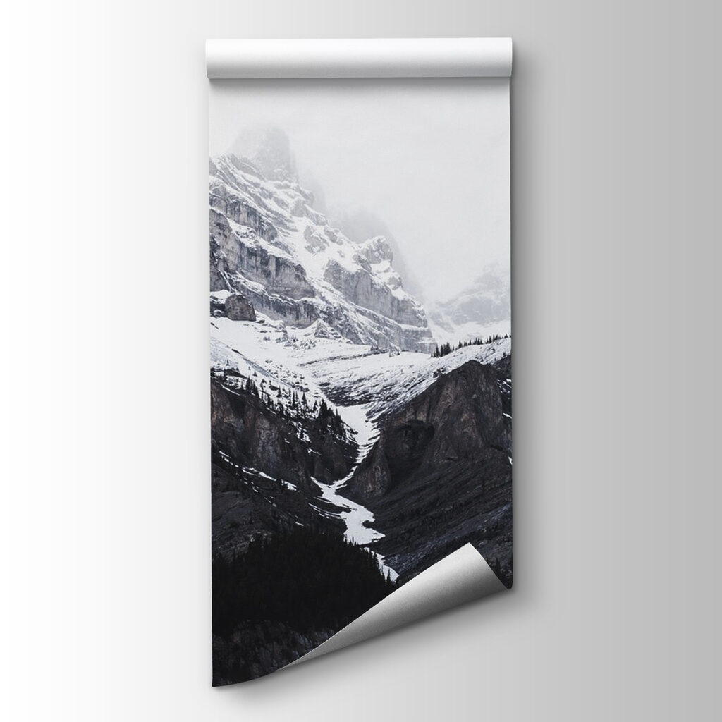 A snowy mountain with trees A snowy mountain with trees