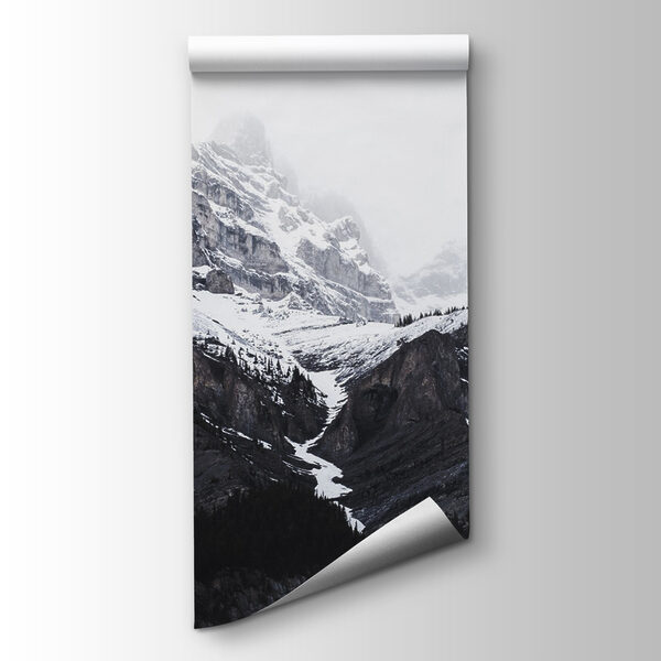 A snowy mountain with trees A snowy mountain with trees