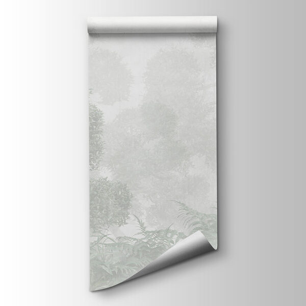 A foggy forest with trees and ferns