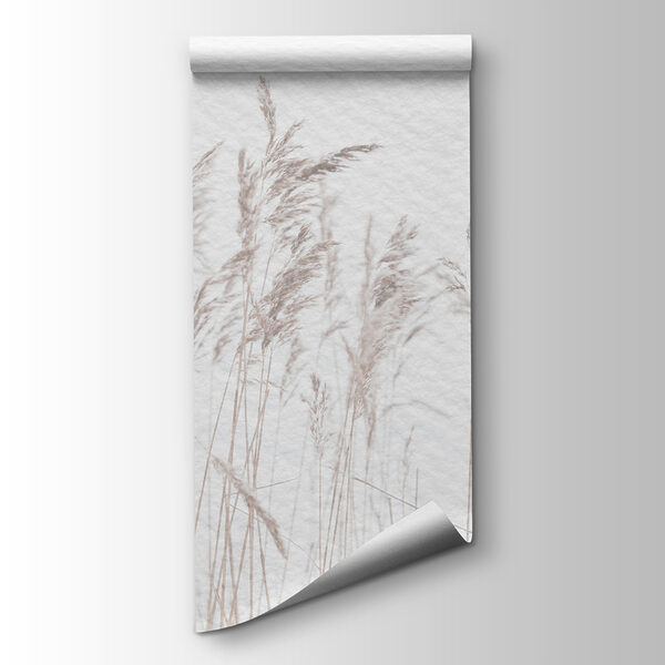 Gentle grasses sway in calm breeze Gentle grasses sway in calm breeze