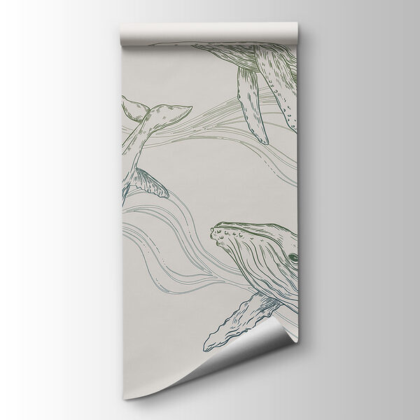 A group of whales swimming in the water A group of whales swimming in the water