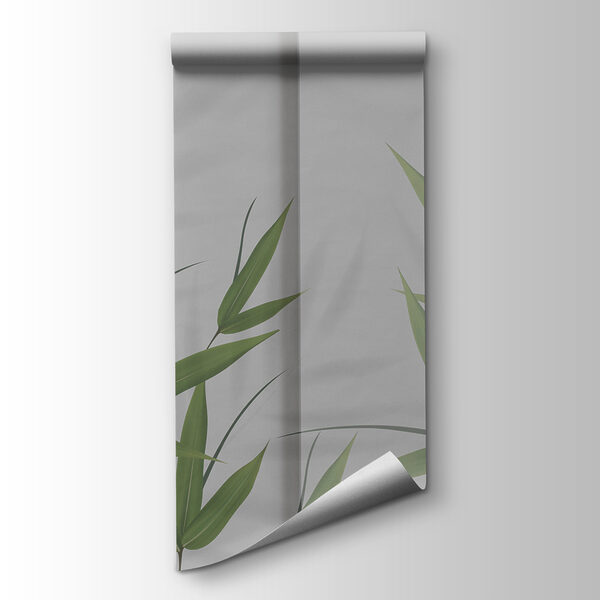 A green leaves on a white surface