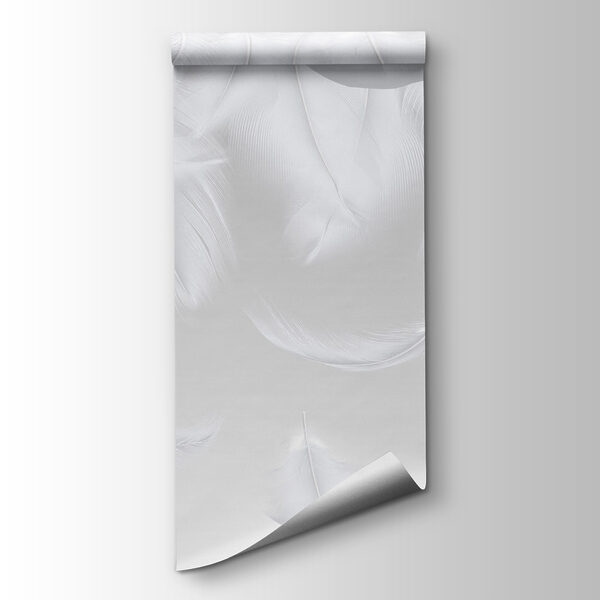 White feathers falling down