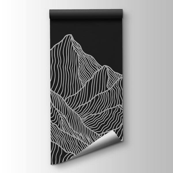 A black and white mountain range