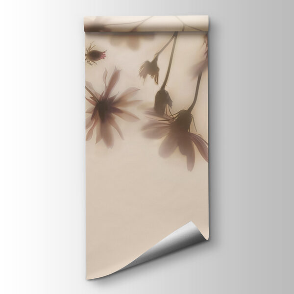 Group of flowers on a white background Group of flowers on a white background