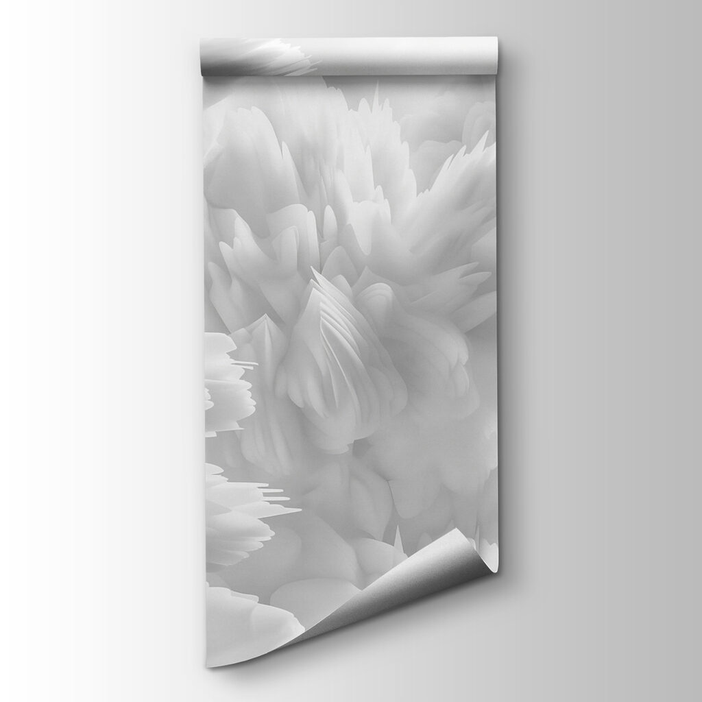 Close up of white fluffy objects Close up of white fluffy objects