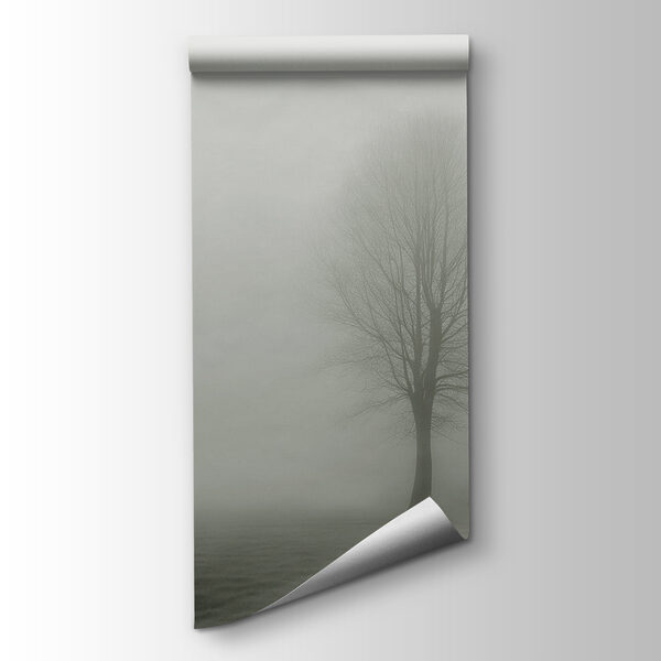 Tree in a foggy field