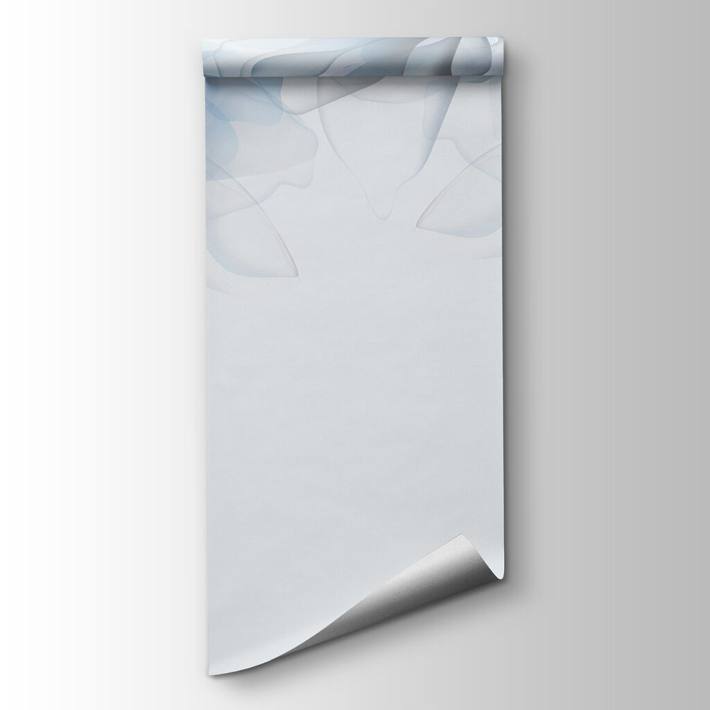 Group of flowers with white and blue flowers