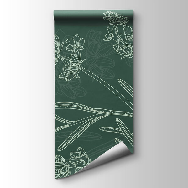 Drawing of a plant Drawing of a plant