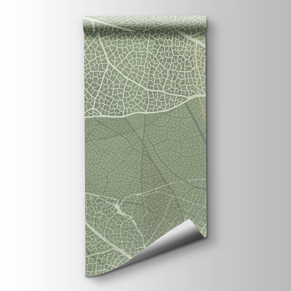 Delicate patterns of nature's design Delicate patterns of nature's design