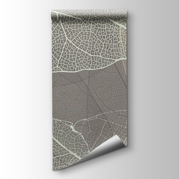 Delicate patterns of leaf veins Delicate patterns of leaf veins