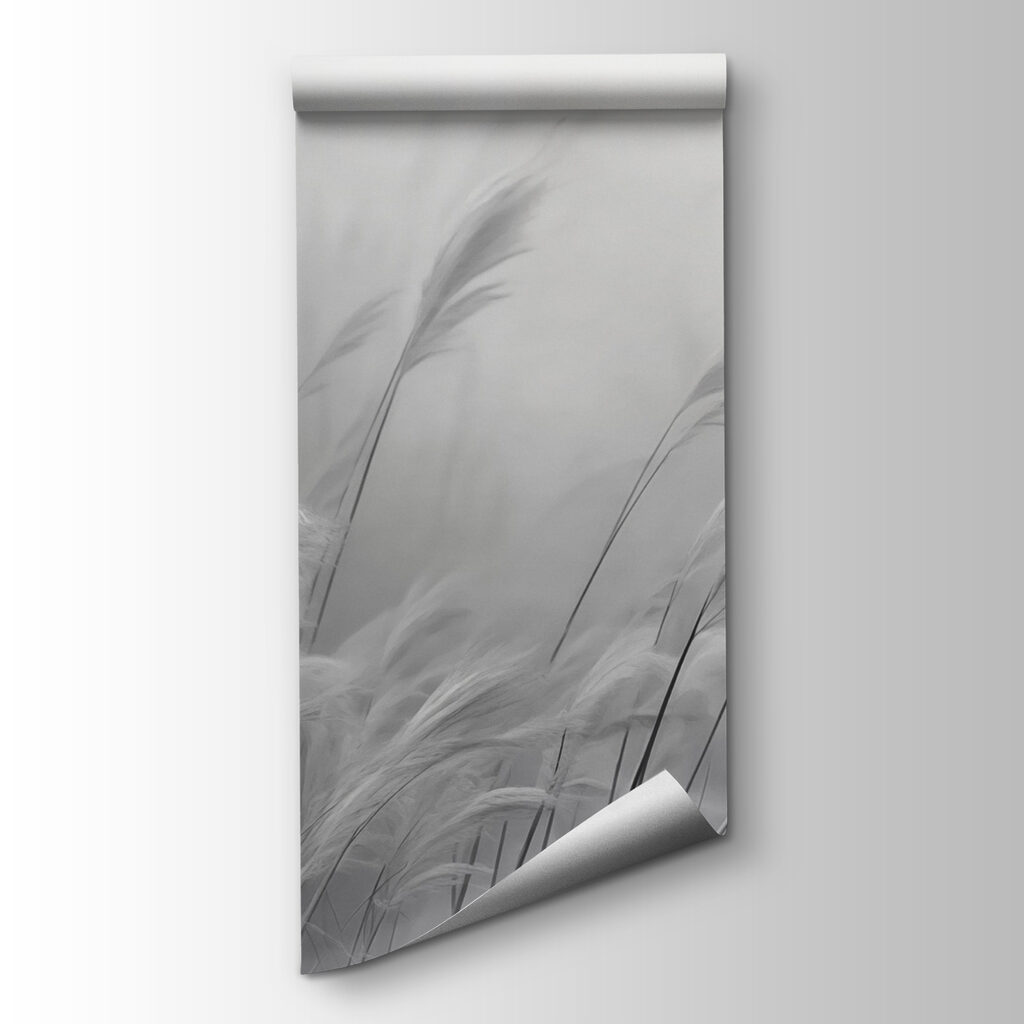 Soft grasses sway in gentle breeze Soft grasses sway in gentle breeze