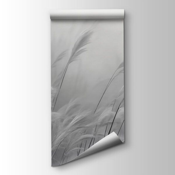 Soft grasses sway in gentle breeze Soft grasses sway in gentle breeze