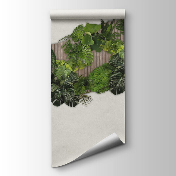 Group of green leaves on a wooden surface