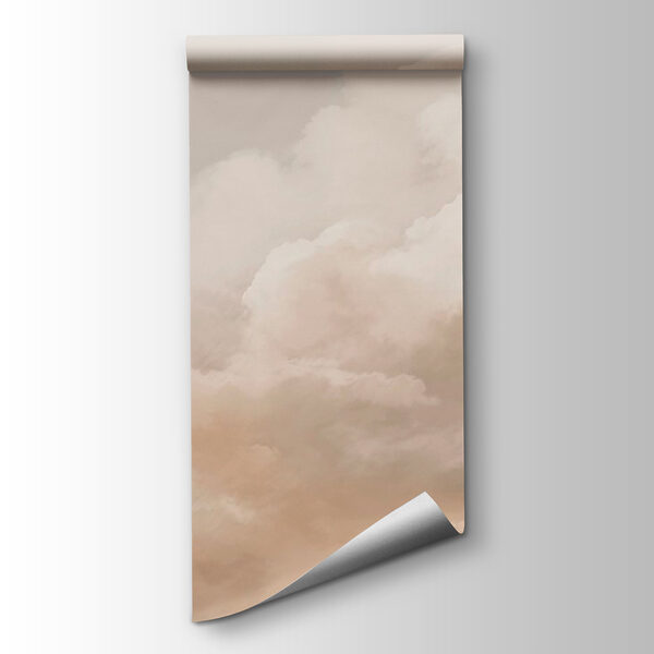 Cloudy sky with a person in the background Cloudy sky with a person in the background