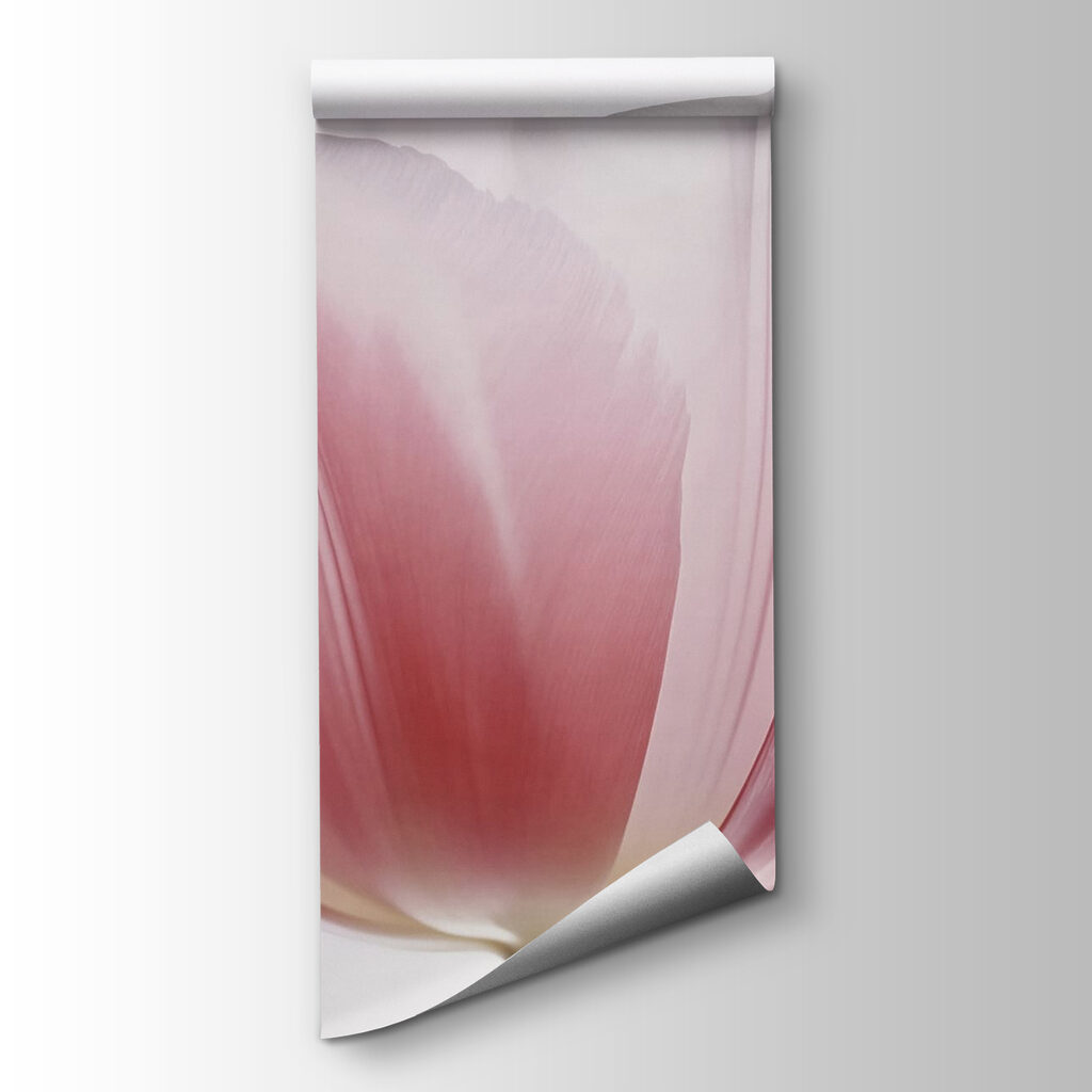 Delicate petals of soft hues