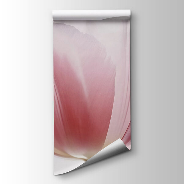 Delicate petals of soft hues