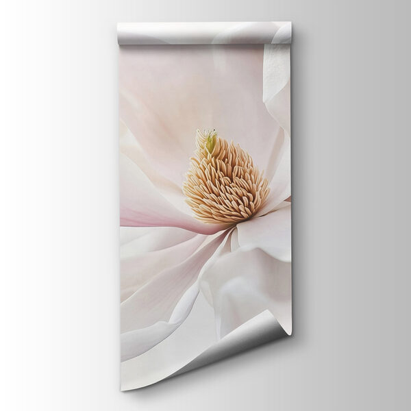 Delicate petals in gentle light Delicate petals in gentle light