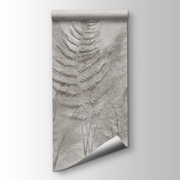 Fern fronds in a row Fern fronds in a row