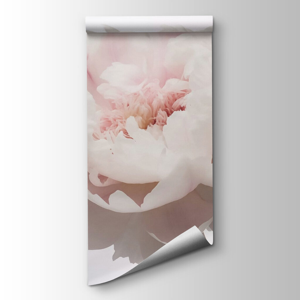 Delicate petals in soft bloom Delicate petals in soft bloom