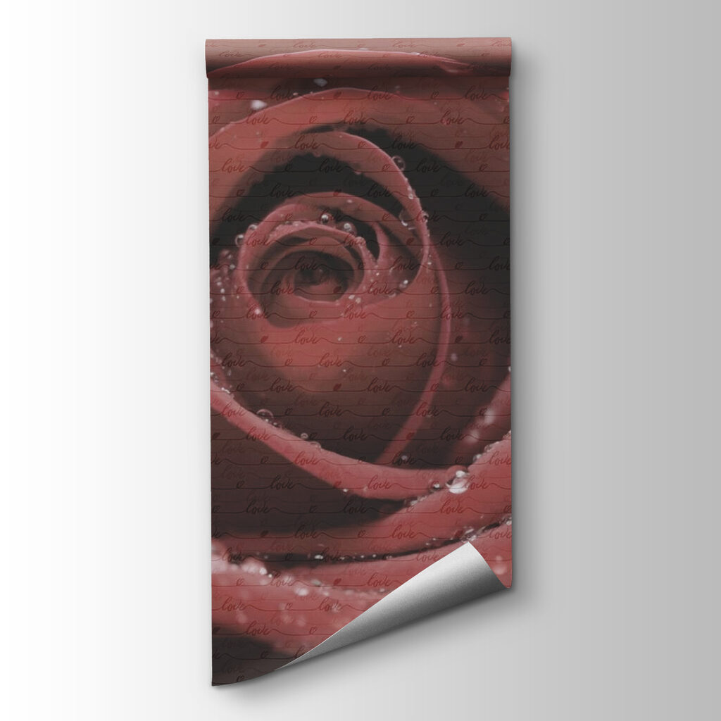 Delicate petals adorned with droplets Delicate petals adorned with droplets