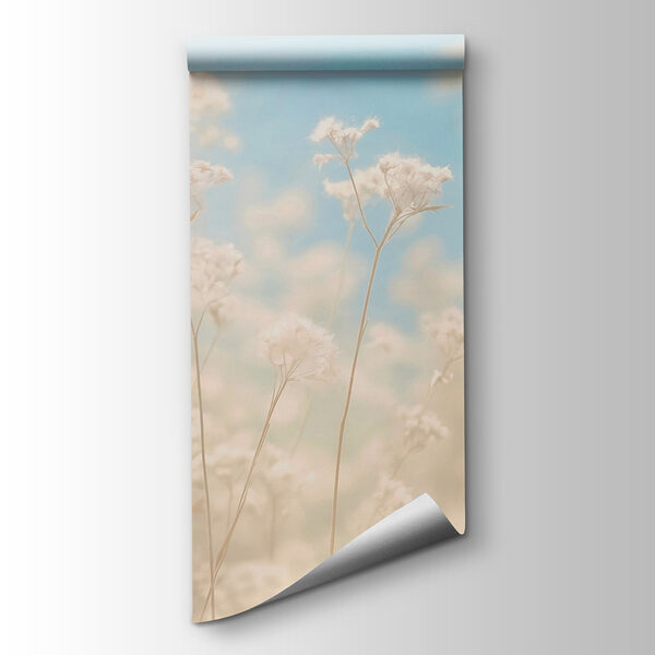 Dreamy flowers in soft sunlight Dreamy flowers in soft sunlight