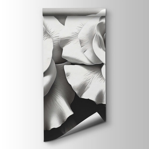 Delicate petals of timeless beauty