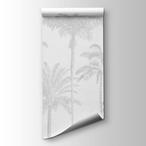 Group of palm trees Group of palm trees