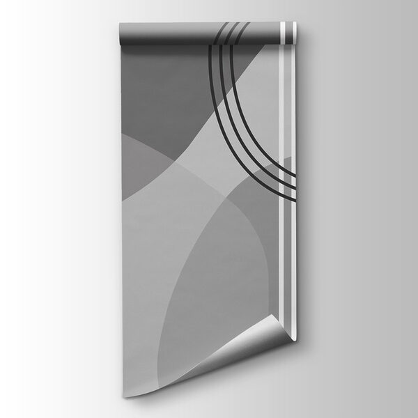 Grey and white background with circles and lines Grey and white background with circles and lines