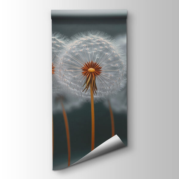 Group of dandelions with seeds Group of dandelions with seeds