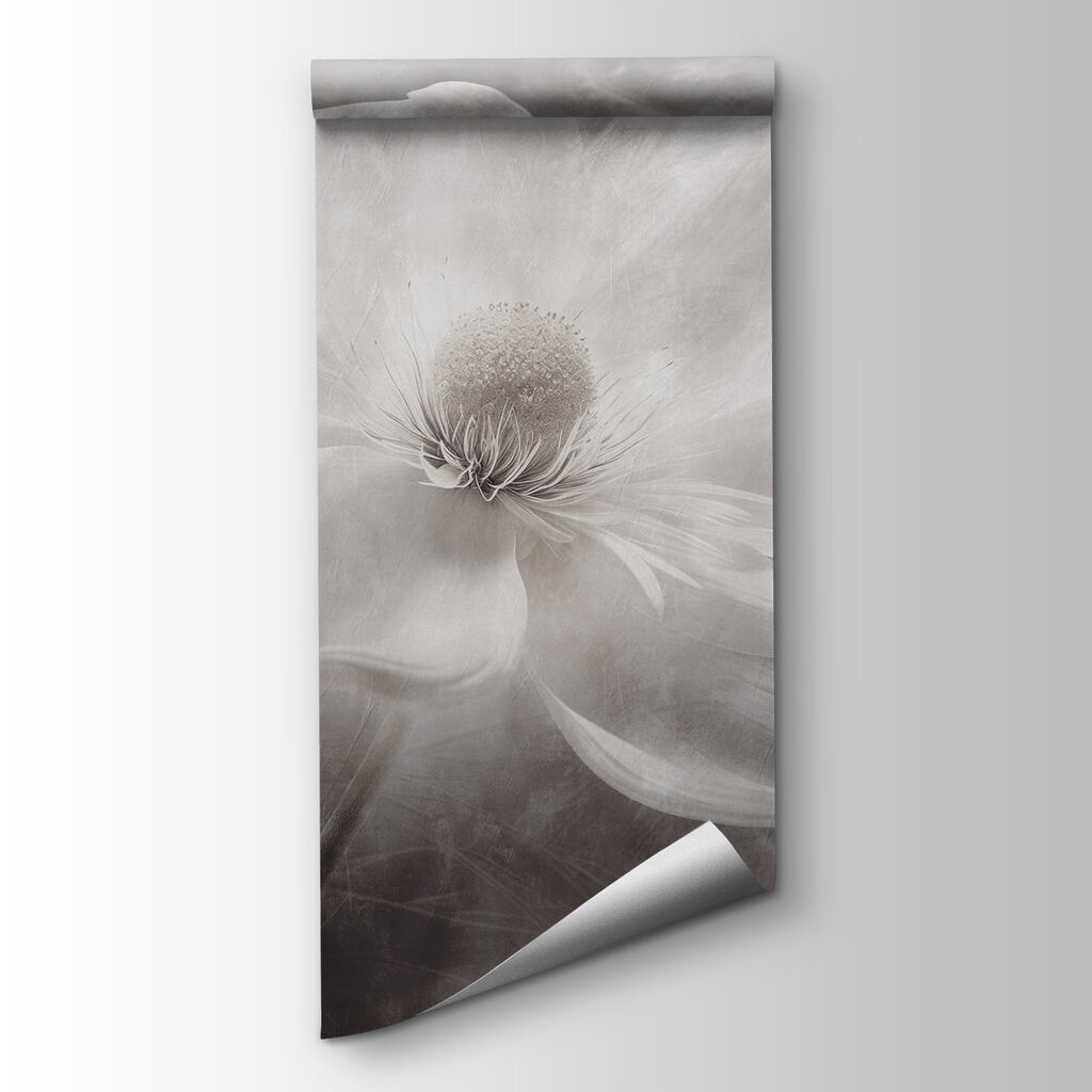 White flower with a black center White flower with a black center