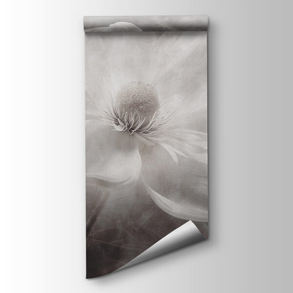 White flower with a black center White flower with a black center