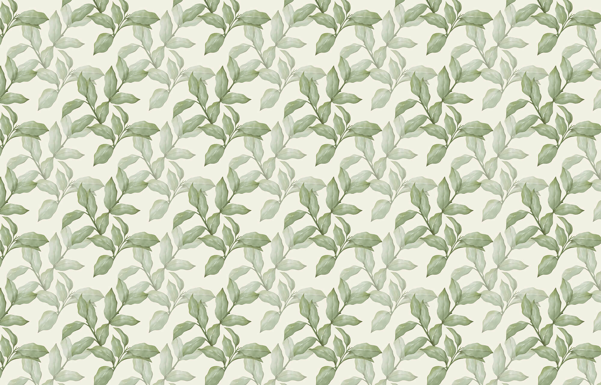 Pattern of leaves on a white background