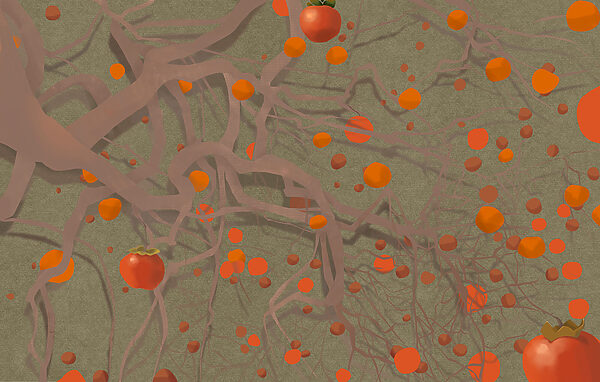 Tree with orange fruits