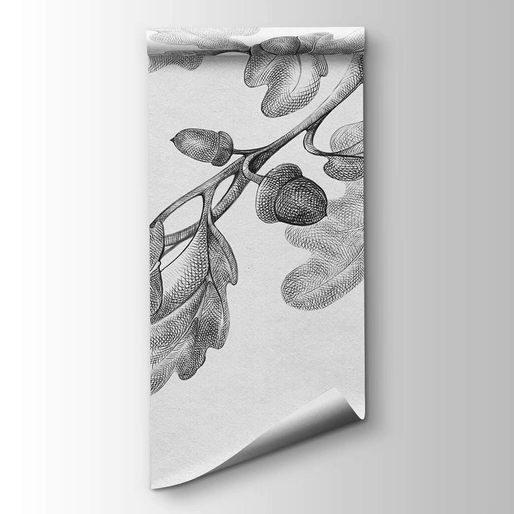 Drawing of a branch with leaves