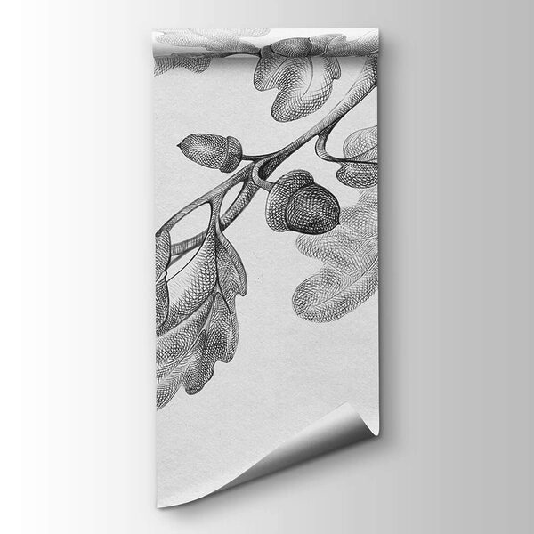 Drawing of a branch with leaves