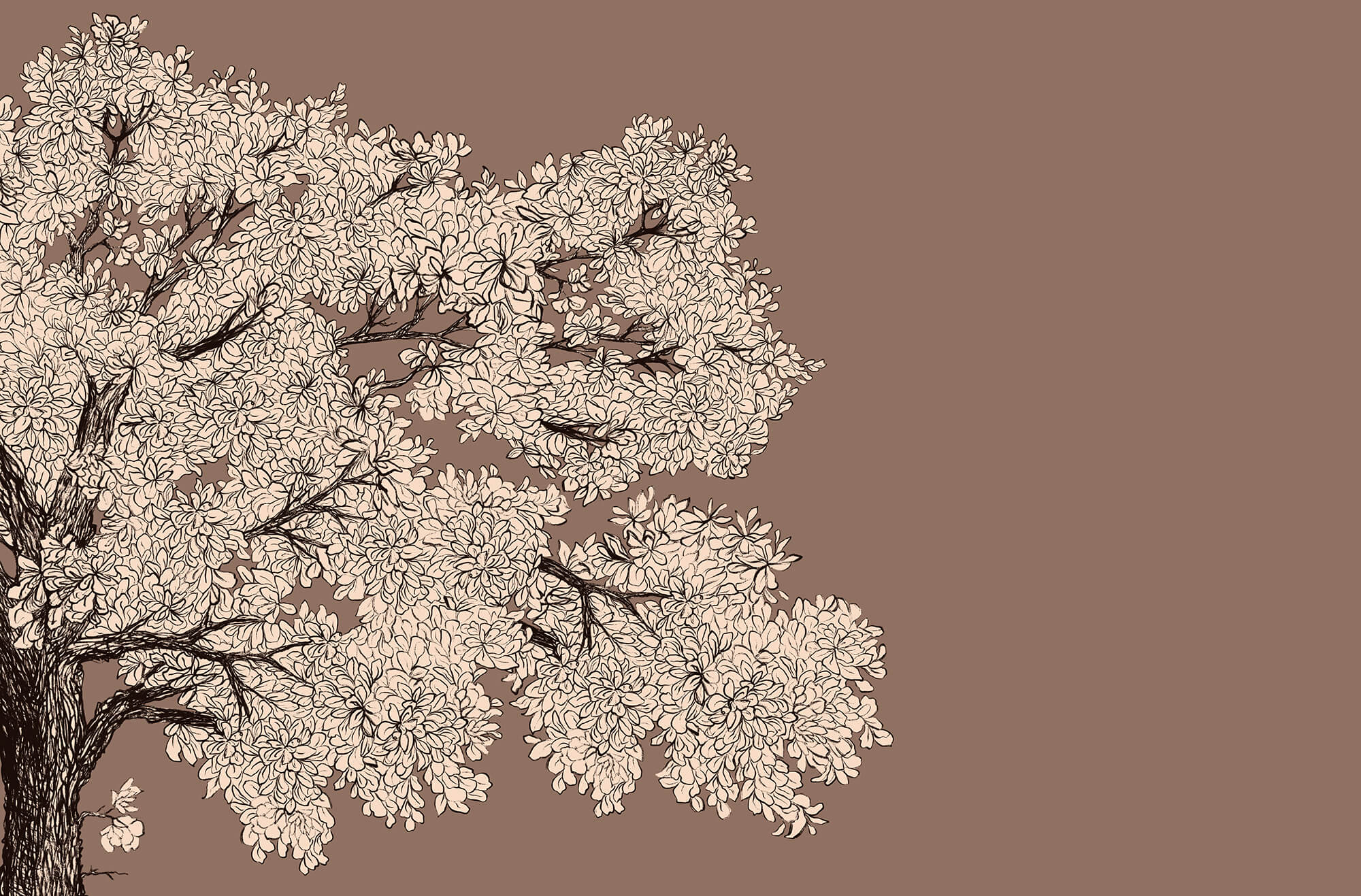 Tree with white flowers