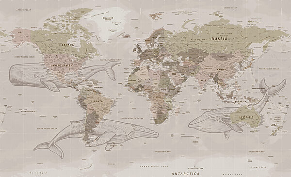 Map of the world with whales Map of the world with whales