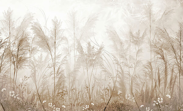 Field of grass with flowers