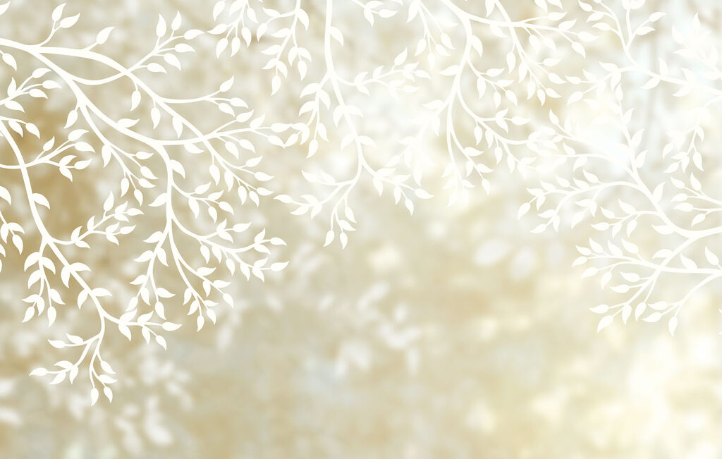 White branches with leaves White branches with leaves